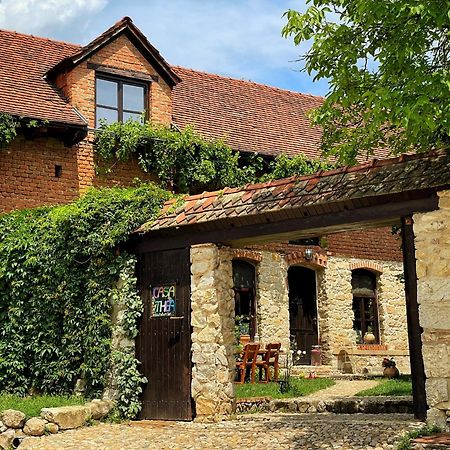 Hotel Casa Thea Cheile Nerei Sokolar Exteriér fotografie