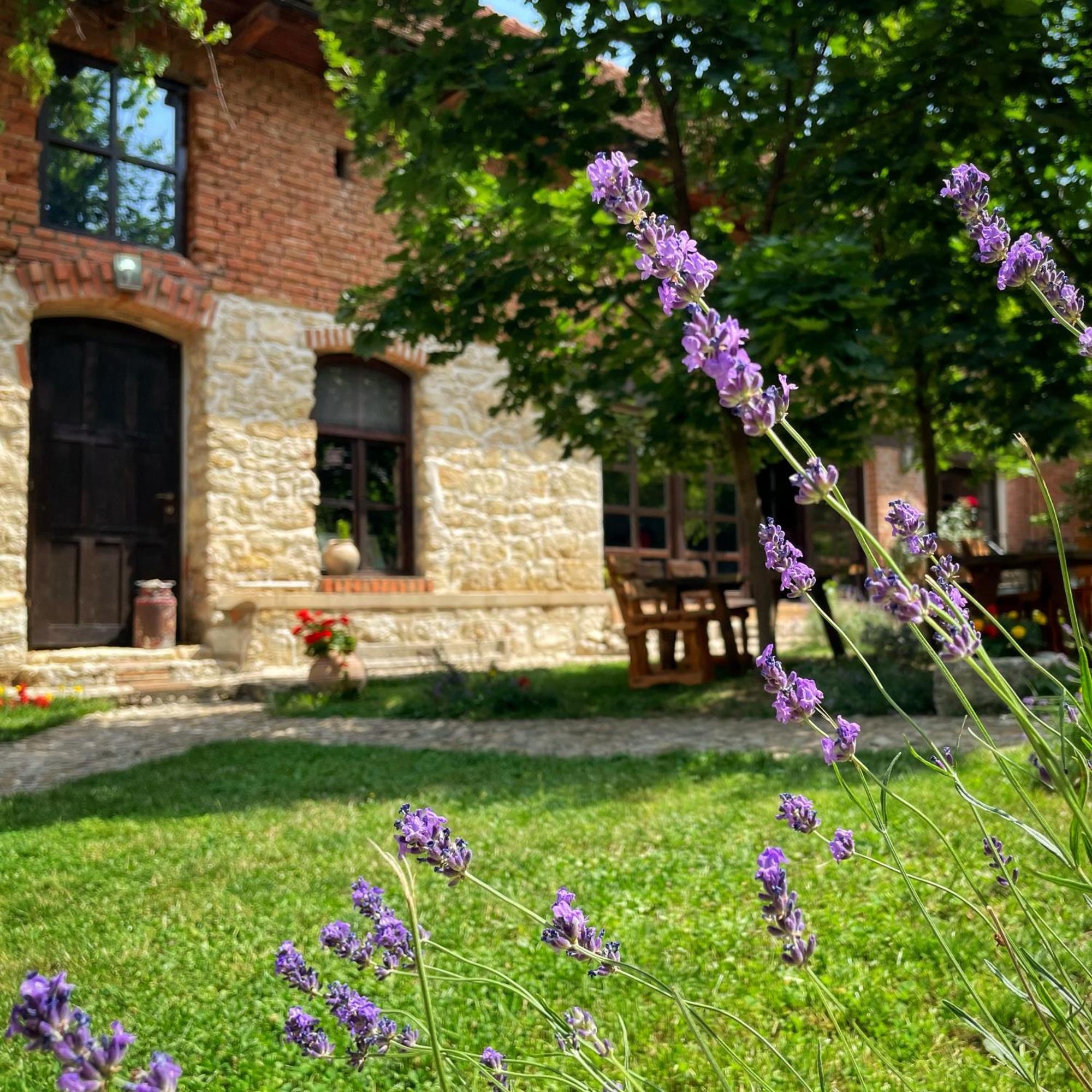Hotel Casa Thea Cheile Nerei Sokolar Exteriér fotografie